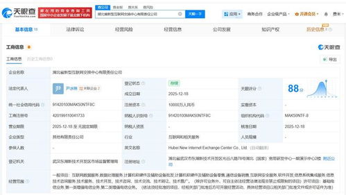 中国电信等企业在湖北成立新型互联网交换中心公司，赋能数字经济新生态