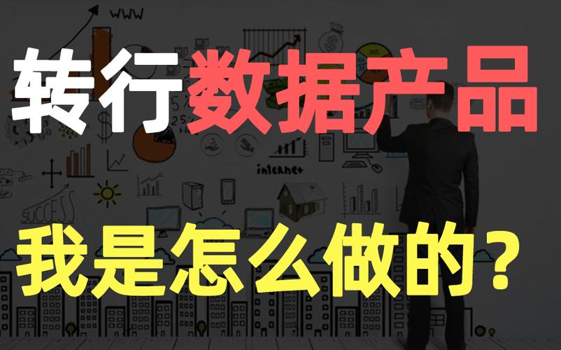一线互联网大厂数据产品经理求职全攻略 从准备到实战